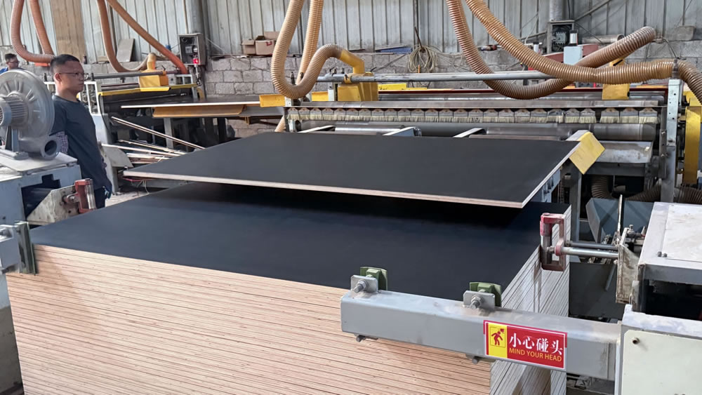 film-faced-plywood-production-process.webp.jpg